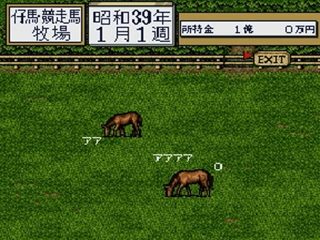 Thoroughbred Breeder II screenshot 5 for Super Famicom